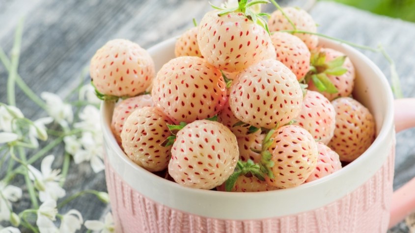 A pink mug filled with pineberries, which are hybrid fruits