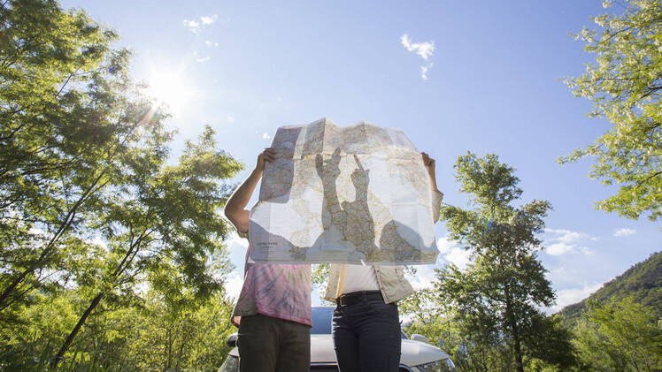 Couple examine road map near car, in forest