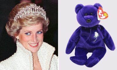 Princess Diana and Beanie Baby