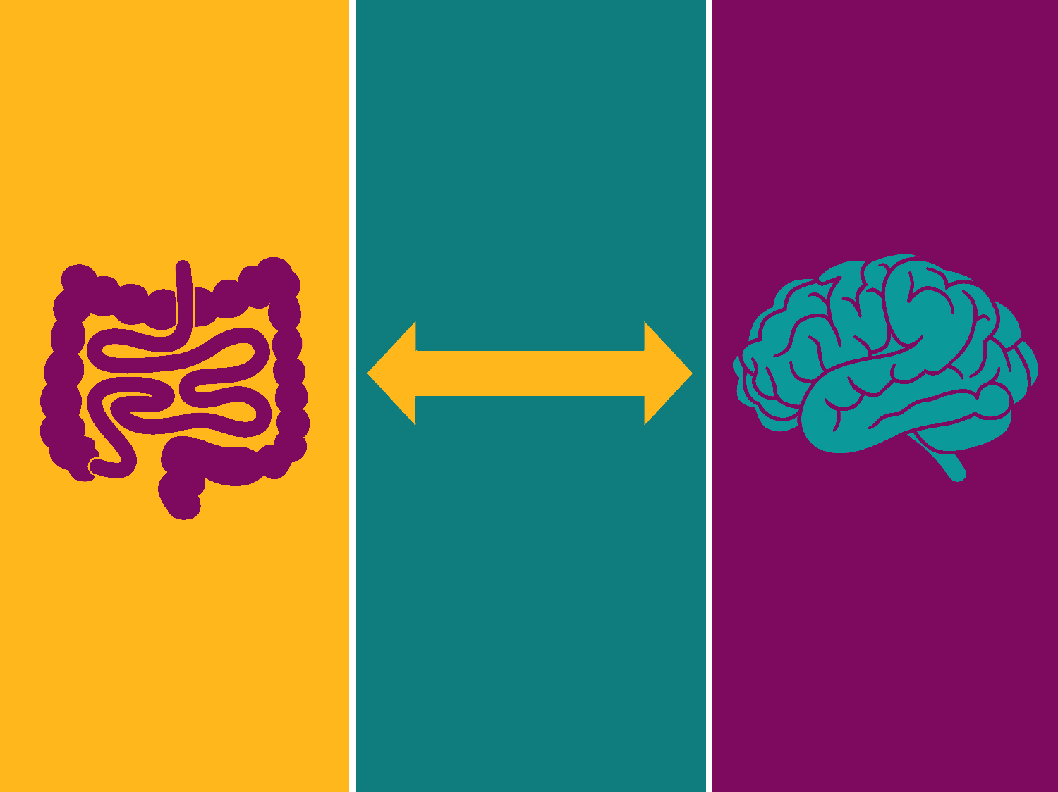 Gut Health and Brain – What’s the Relation?