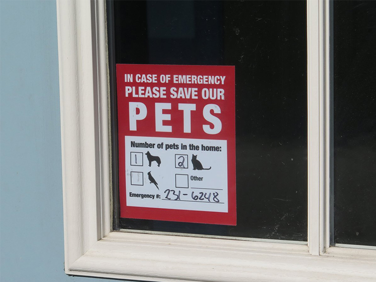 Save say. Наклейка best Pet. In Case of Emergency Door. Save to Pet.