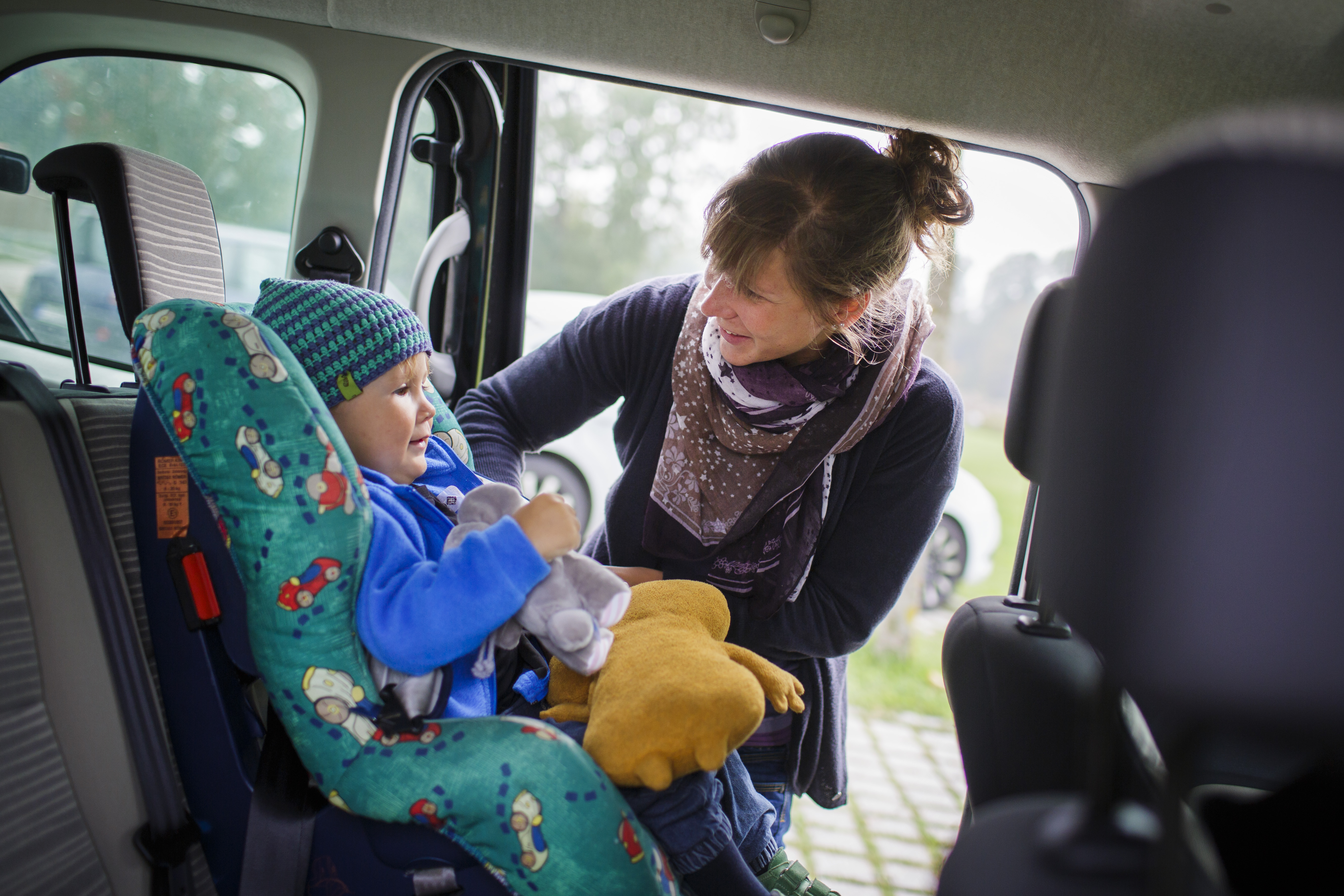 skip hop infant car seat cover