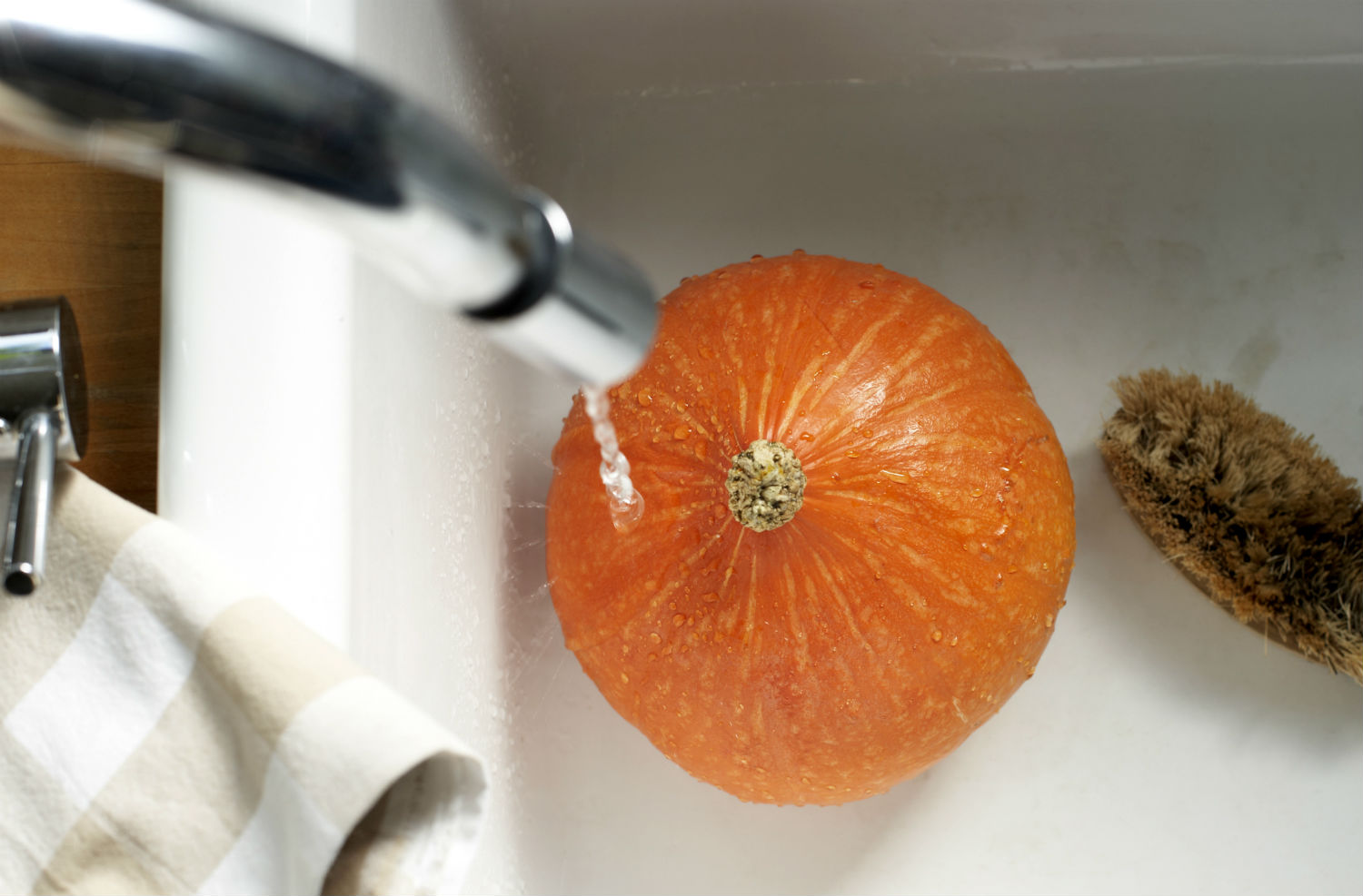 cómo hacer que las calabazas talladas duren más