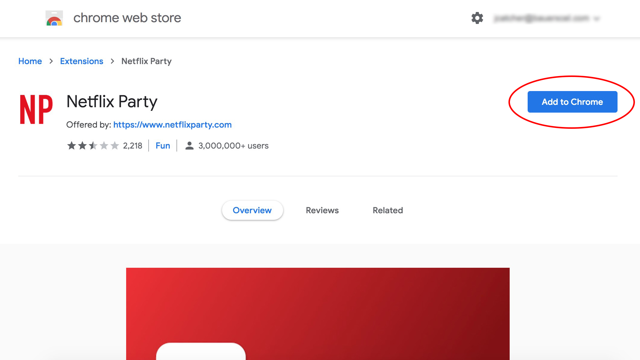 netflix party extension mac