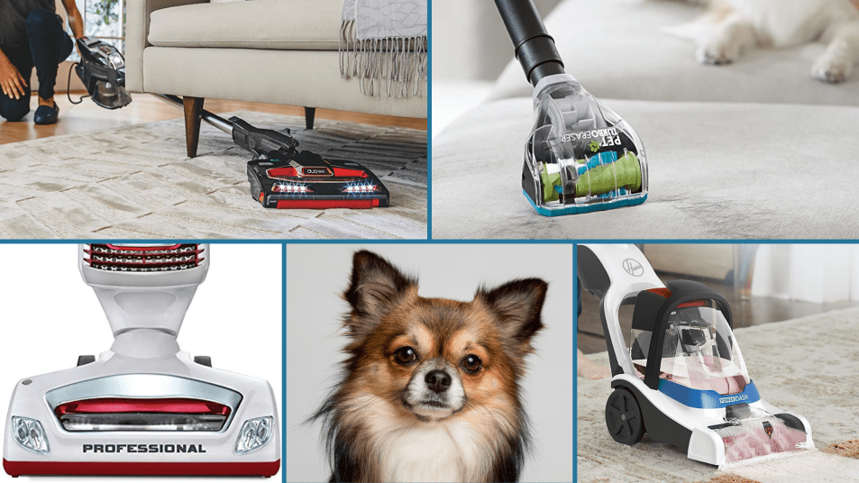 13 Best Vacuum Cleaners for Pet Hair on Hardwood or Carpet