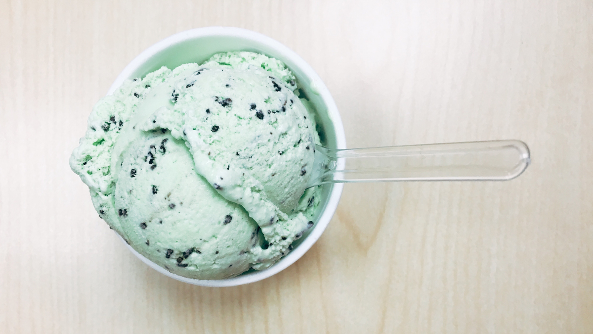 Mint Chocolate Chip Ice Cream