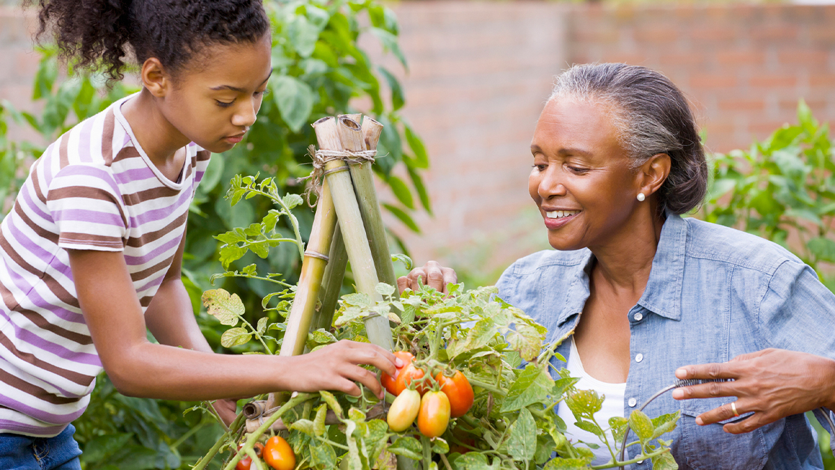 5 tips to growing a home garden