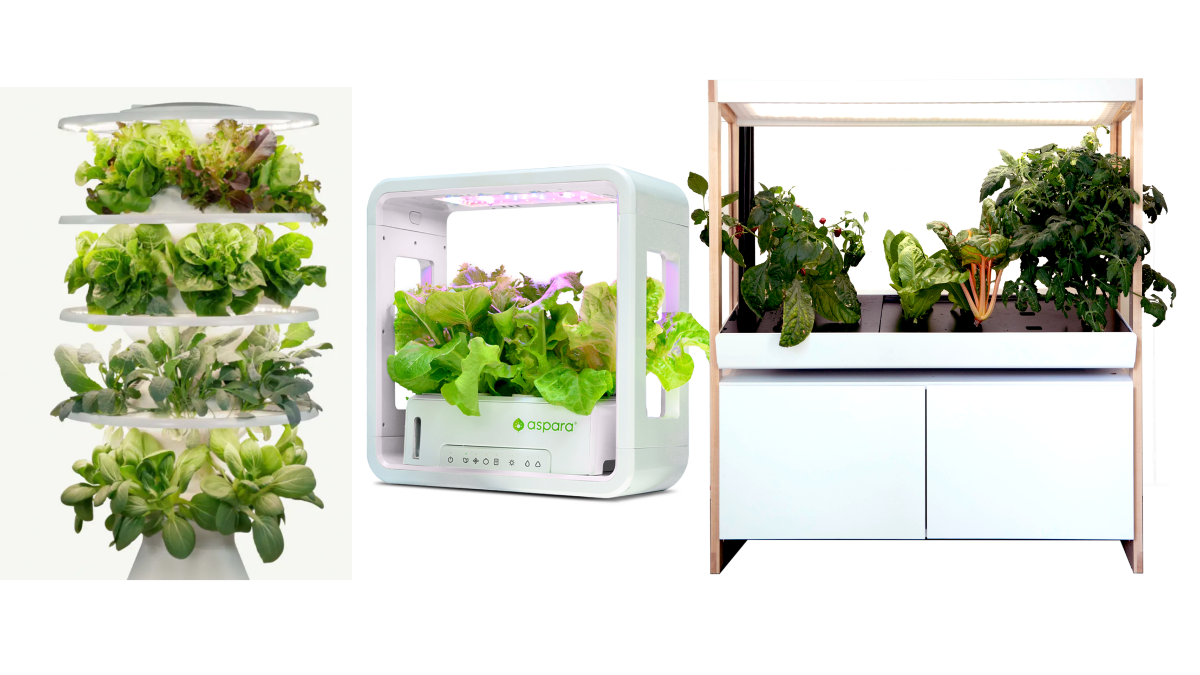 Grow plants without dirt in this Alexa-shaped, hydroponic planter