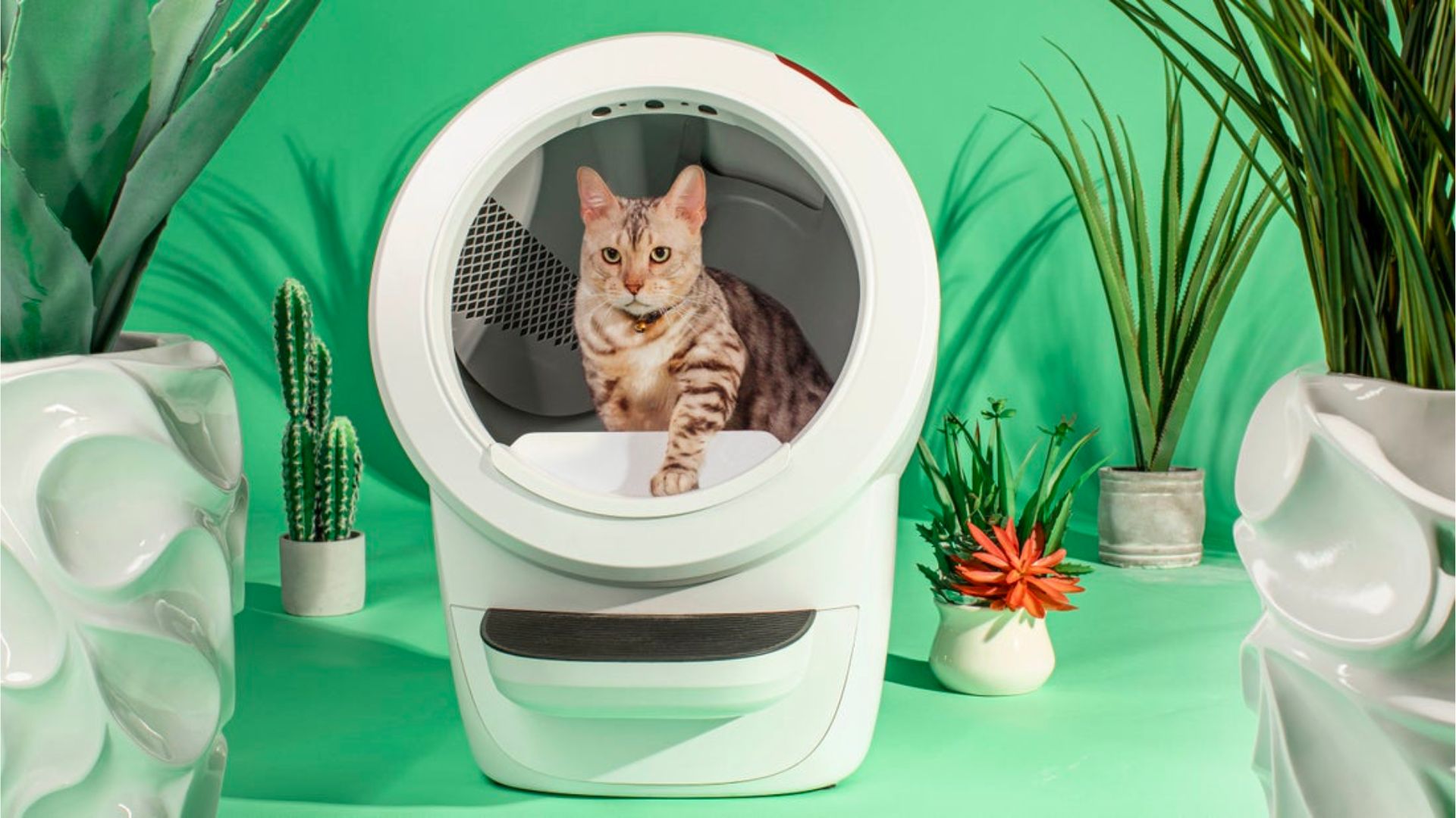 Qvc best sale litter robot