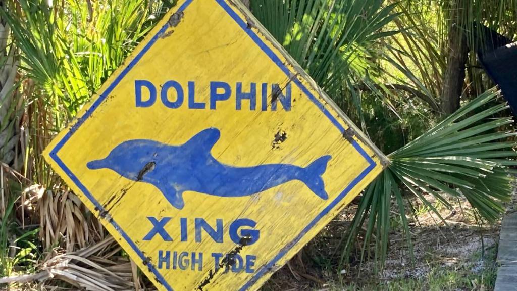 A black cats seems to sit waiting by a vintage dolphin crossing sign on Tybee Island, Georgia.(Funny road signs )