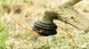 Close Up Cutting Grass with Weed Trimmer