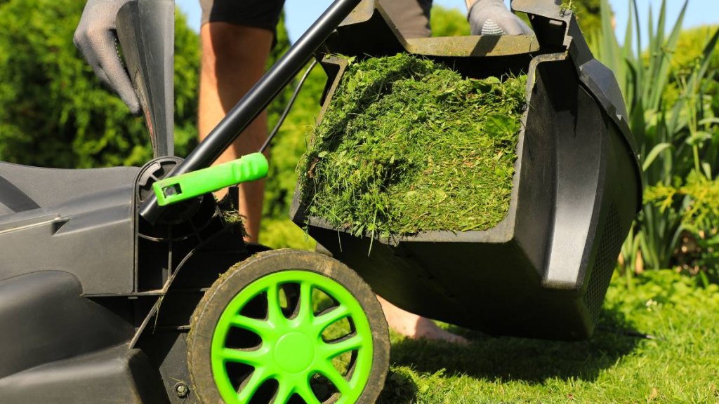 Man removing grass out of lawn mower box in garden, closeup