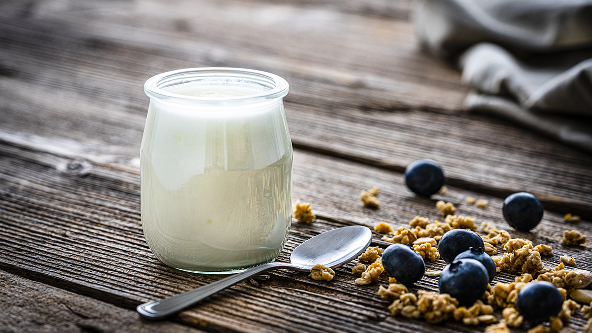 Homemade yogurt that is an effective natural treatment for SIBO