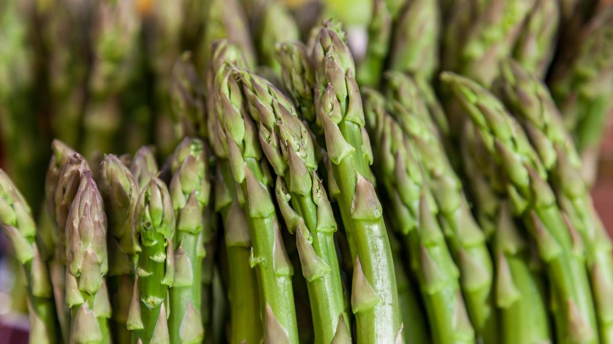 What is asparagus acid? Nutrition experts explain the health benefits of asparagus