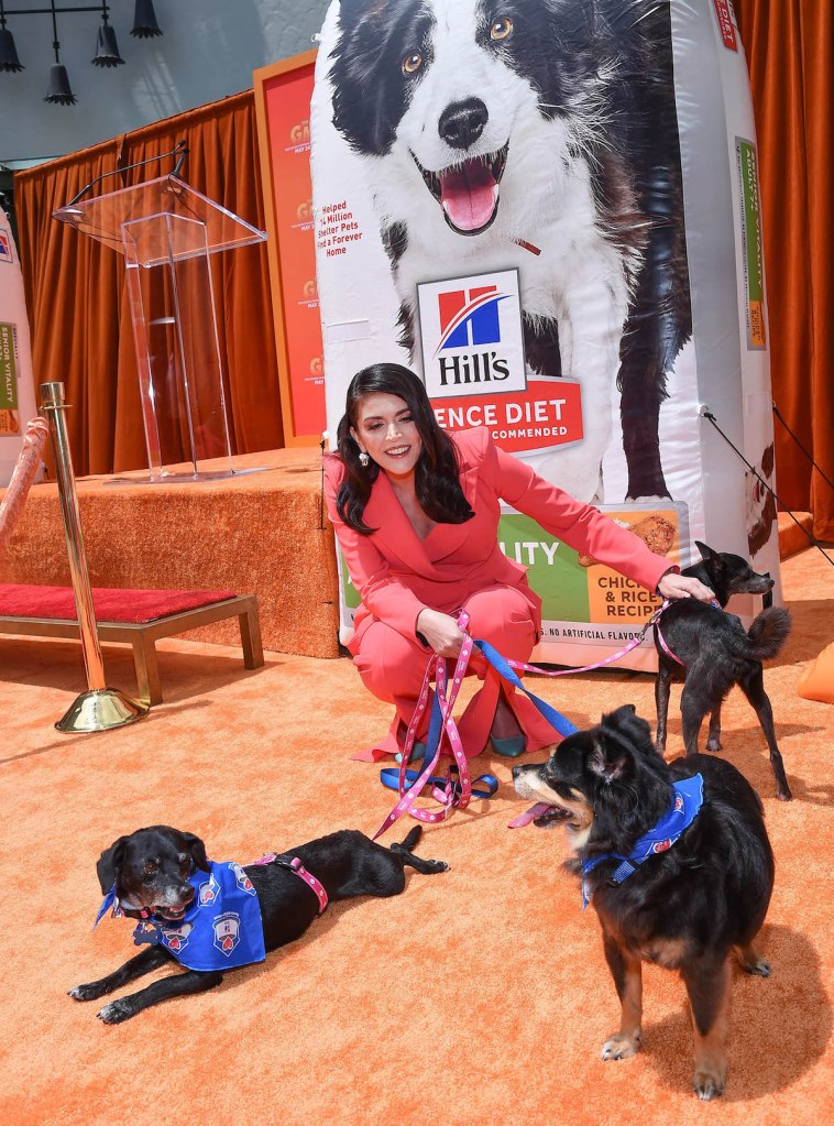 The actress with adoptable senior dogs at the orange carpet premiere of 'The Garfield Movie' 2024