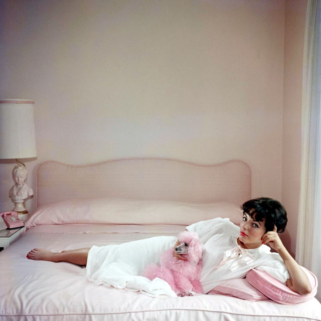 Joan Collins posing with a poodle in the '50s